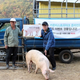 Illustration for article titled Heres the emCounter-Strike/em Player Who Won a Real Pig